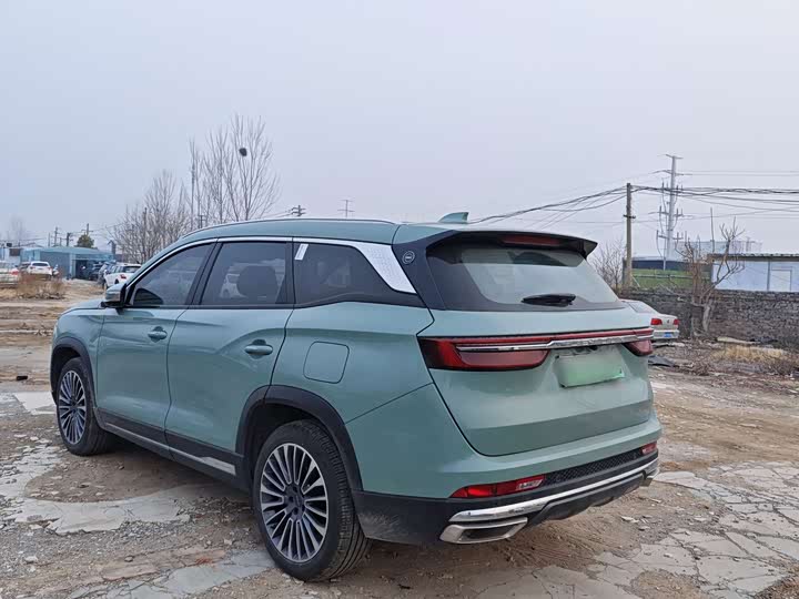 Jetour Shanhai L9 2024 2024款 1.5TD 2DHT Max 7座