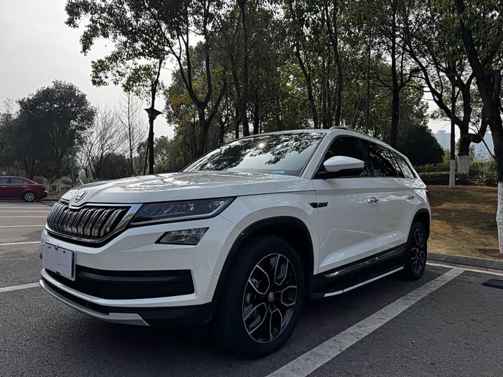Skoda Kodiaq 2021 2021款 TSI330 7座两驱豪华优享版