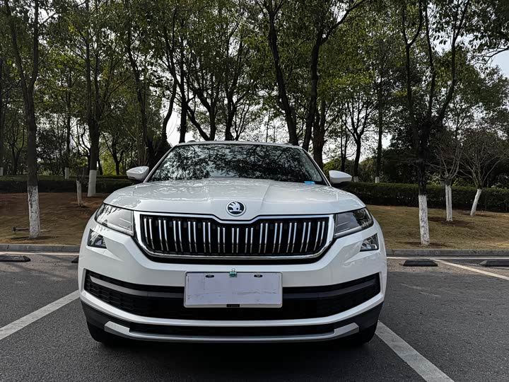 Skoda Kodiaq 2021 2021款 TSI330 7座两驱豪华优享版