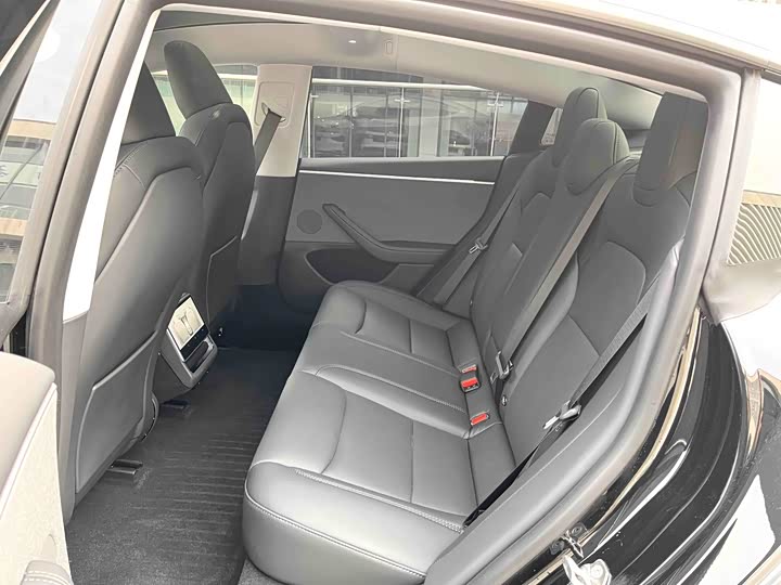 Tesla Model 3 2023 2023款 后轮驱动版