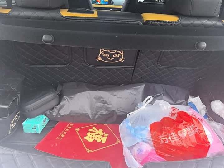 Ora Good Cat GT (03 GT) 2023 2023款 木兰版 401km 尊荣型