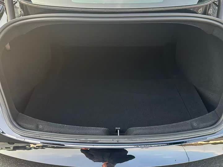 Tesla Model 3 2025 2025款 后轮驱动版