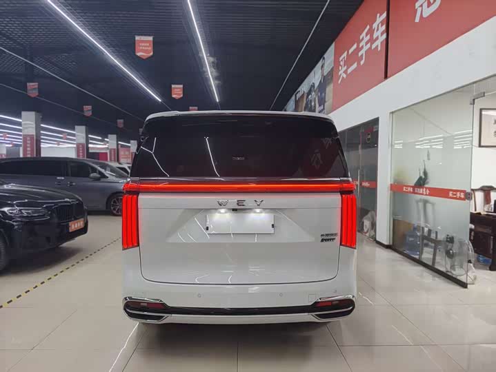 Wey Gaoshan 2023 2023款 四驱旗舰版