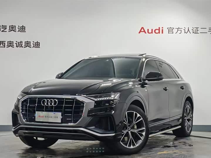 Audi Q8 2022 2022款 55 TFSI 豪华动感型