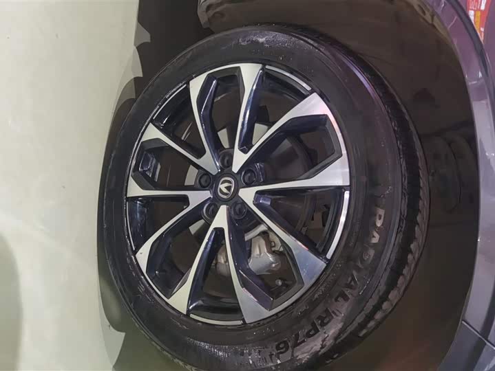 Changan UNI-Z Hybrid 2024 2024款 蓝鲸智电iDD 125km 卓越型