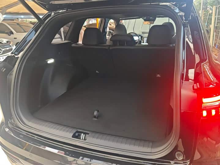 Geely Monjaro 2024 2024款 2.0TD DCT EVO两驱长风版