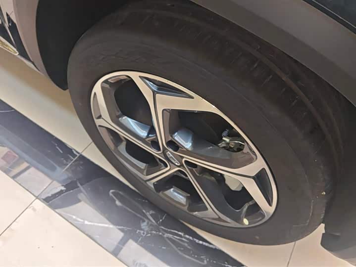 Geely Monjaro 2024 2024款 2.0TD DCT EVO两驱长风版