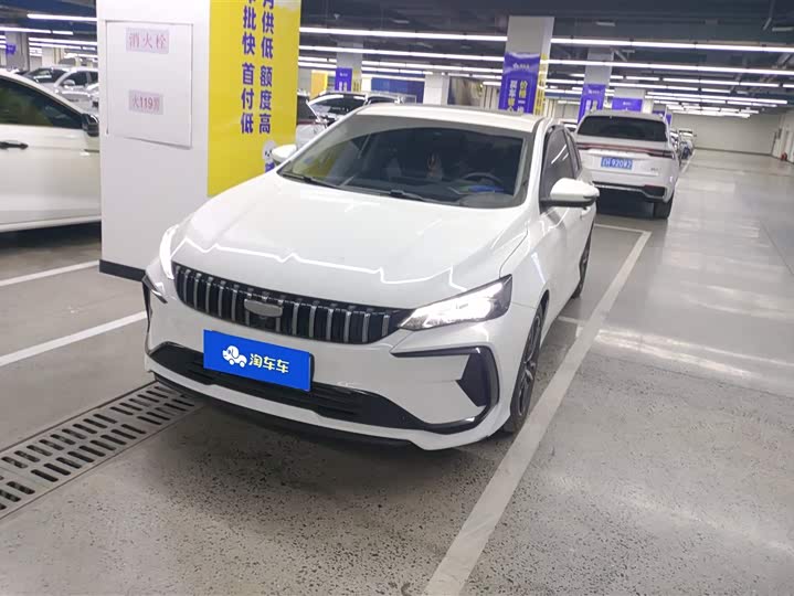 2024 Geely Binrui