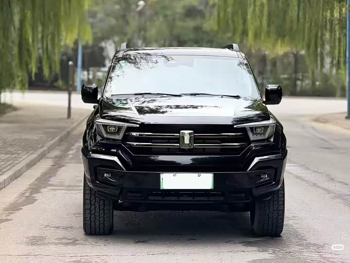 Tank 400 Hybrid 2024 2024款 Hi4-T 越野版