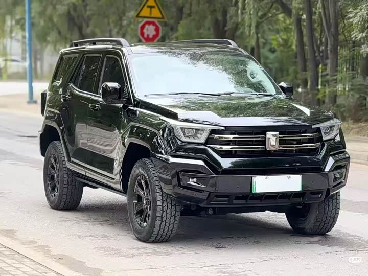 Tank 400 Hybrid 2024 2024款 Hi4-T 越野版