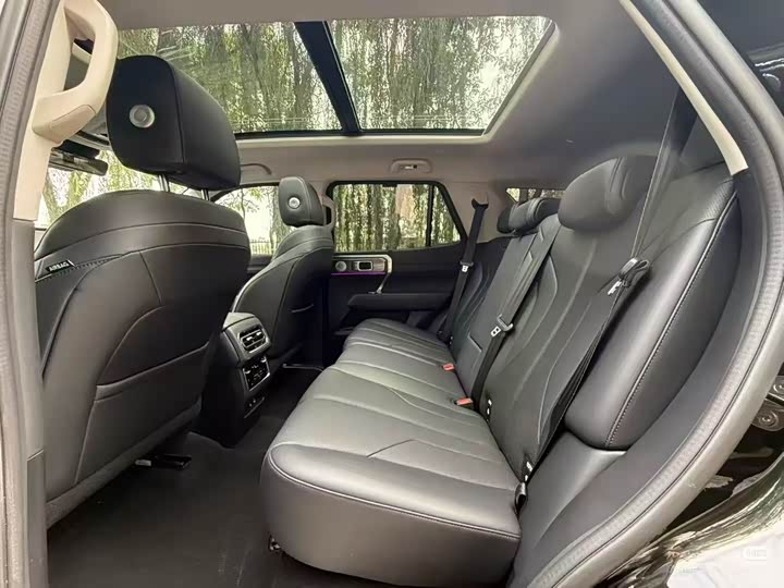 Tank 400 Hybrid 2024 2024款 Hi4-T 越野版