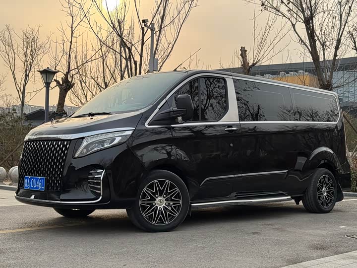 Ford Tourneo 2020 2020款 2.0T 自动旗舰版 国VI
