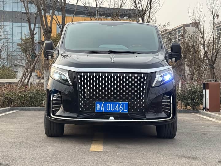Ford Tourneo 2020 2020款 2.0T 自动旗舰版 国VI