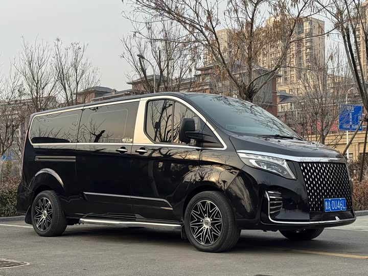 Ford Tourneo 2020 2020款 2.0T 自动旗舰版 国VI