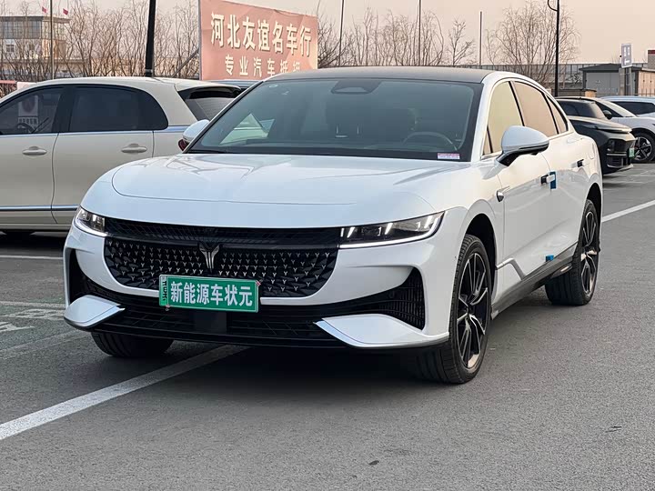 Voyah Passion 2024 2024款 PHEV 四驱超长续航旗舰版