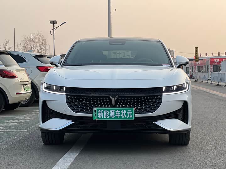 Voyah Passion 2024 2024款 PHEV 四驱超长续航旗舰版