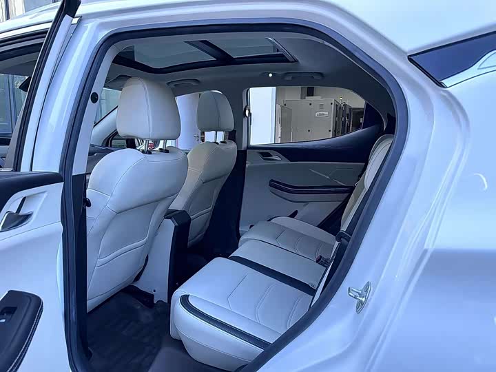 BYD Yuan Pro 2023 2023款 401KM豪华型