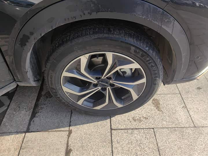 Haval F7 (Monster) 2022 2022款 2.0T 智尊版