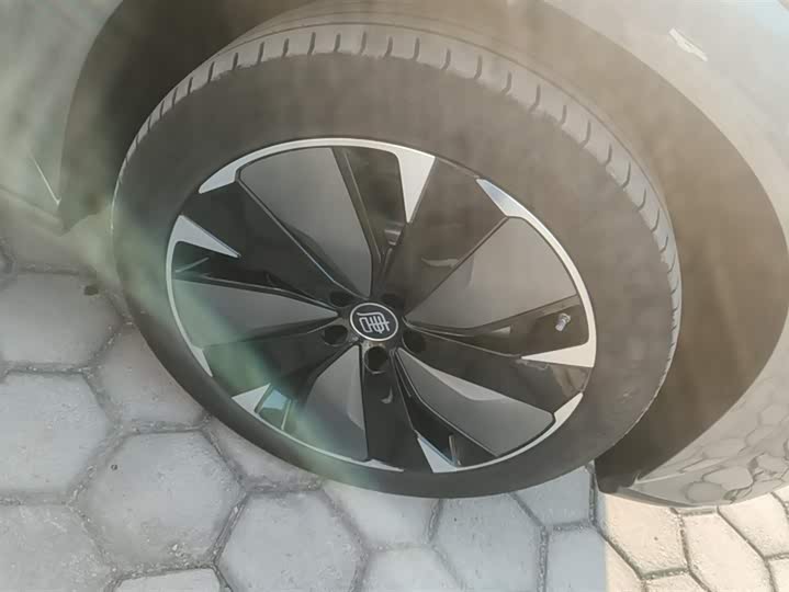 BYD Tang L 2025 2025款 DM 175KM无人机玩家版