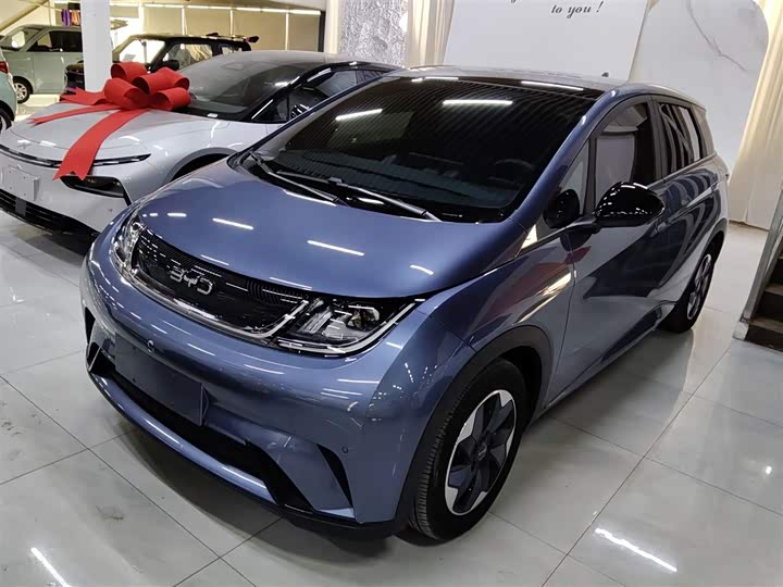BYD Dolphin 2025 2025款 420km 时尚版