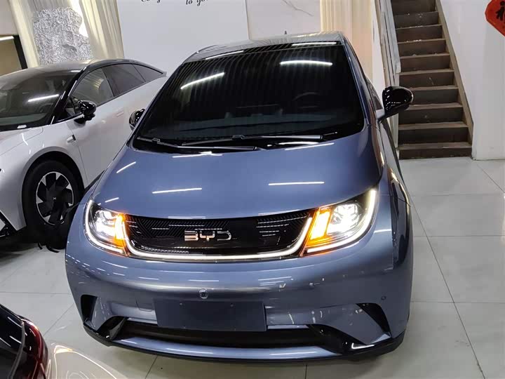 BYD Dolphin 2025 2025款 420km 时尚版
