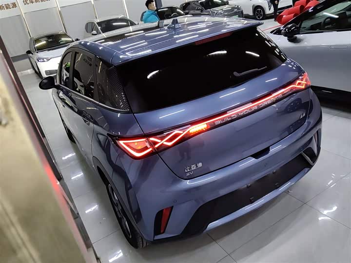 BYD Dolphin 2025 2025款 420km 时尚版
