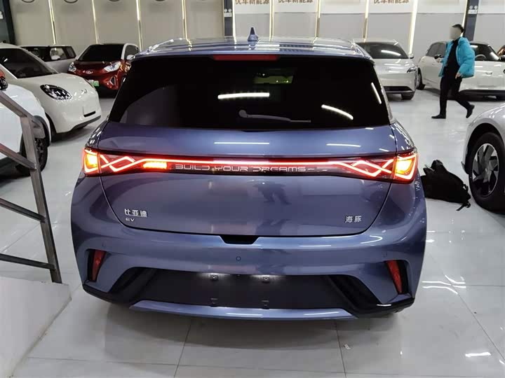 BYD Dolphin 2025 2025款 420km 时尚版