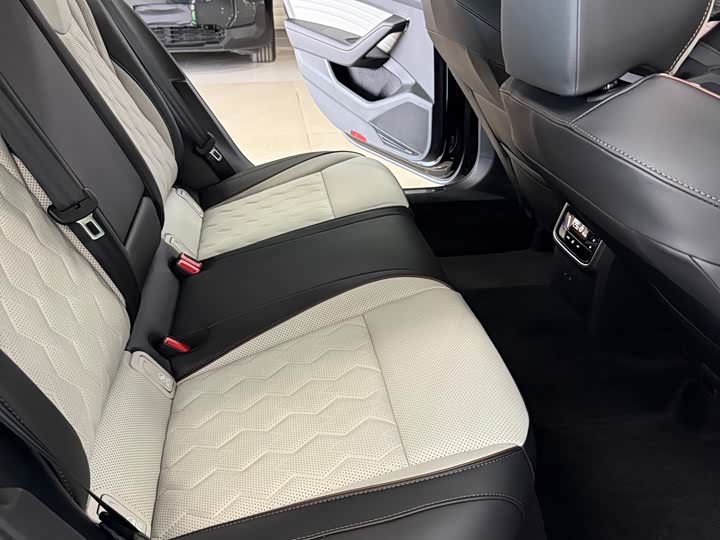 Volkswagen Magotan 2026 2026款 3000万辆甄选款 380TSI DSG豪华型