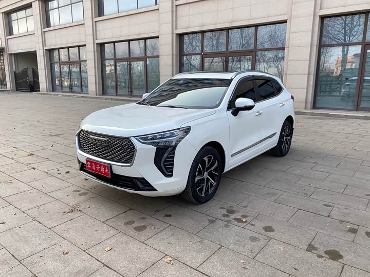 Haval Jolion 2021 2021款 1.5T 自动大三版