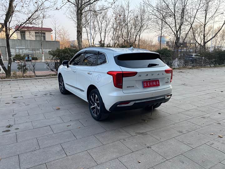 Haval Jolion 2021 2021款 1.5T 自动大三版