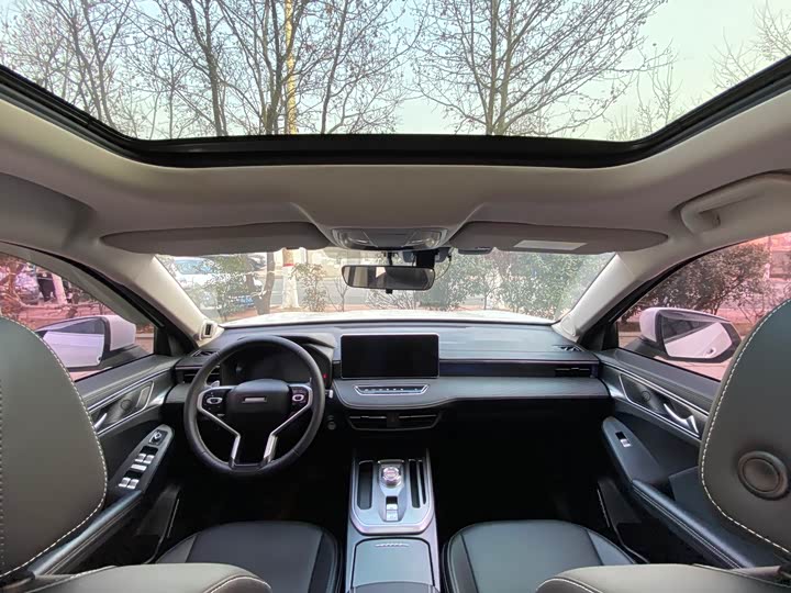 Haval Jolion 2021 2021款 1.5T 自动大三版