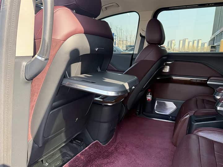 Hongqi HQ9 2023 2023款 2.0T 智联旗享版