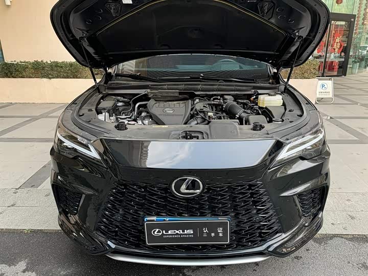 Lexus RX 2025 2025款 500h 四驱F SPORT Performance