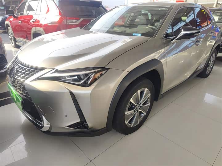 Lexus UX Hybrid 2020 2020款 300e 纯·享版