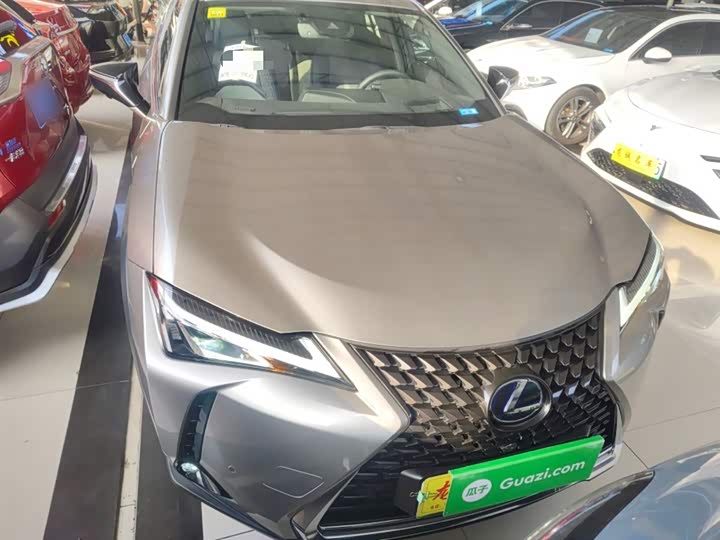 Lexus UX Hybrid 2020 2020款 300e 纯·享版