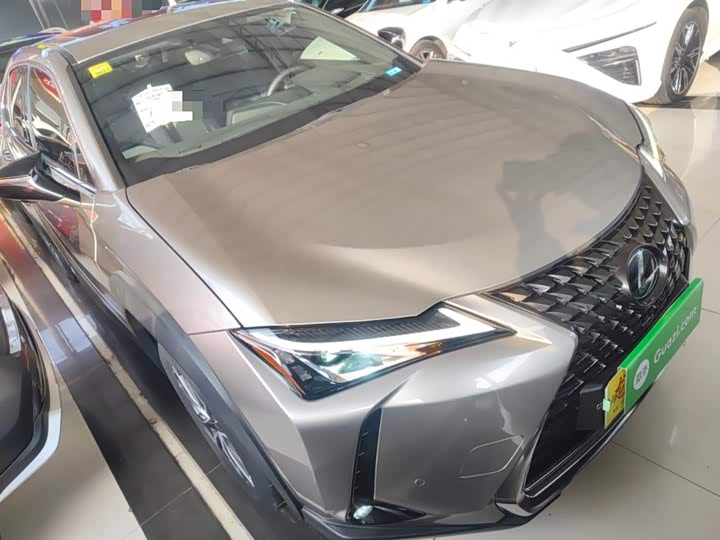 Lexus UX Hybrid 2020 2020款 300e 纯·享版
