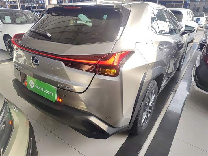 Lexus UX Hybrid 2020 2020款 300e 纯·享版