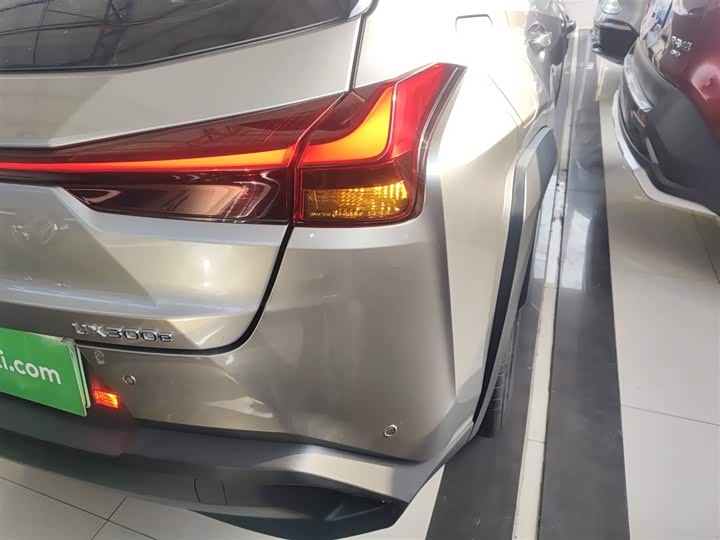 Lexus UX Hybrid 2020 2020款 300e 纯·享版