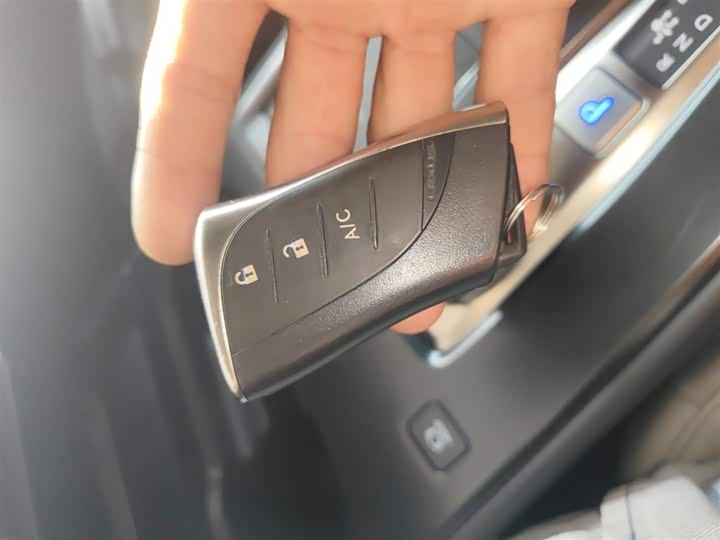 Lexus UX Hybrid 2020 2020款 300e 纯·享版