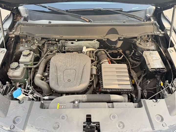 Haval H-Dog Hybrid 2024 2024款 Hi4 102km 潮电版Plus