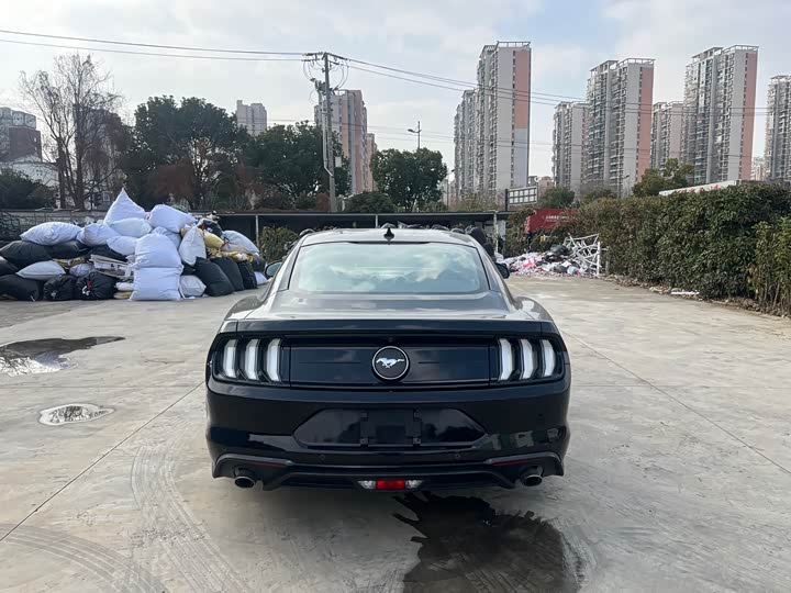 Ford Mustang 2021 2021款 2.3T EcoBoost