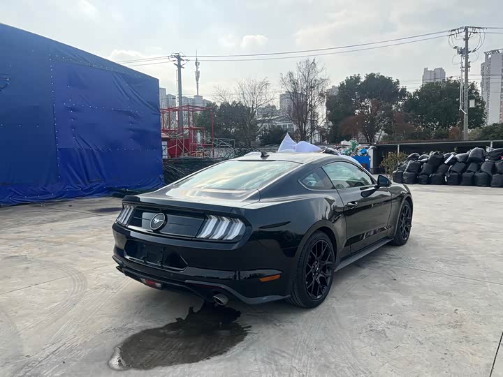 Ford Mustang 2021 2021款 2.3T EcoBoost