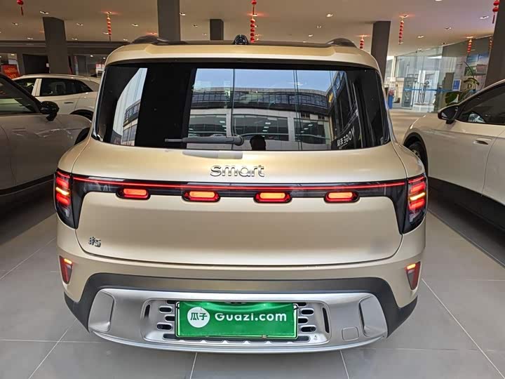 Smart #5 2024 2024款 超长续航奇旅 豪华版