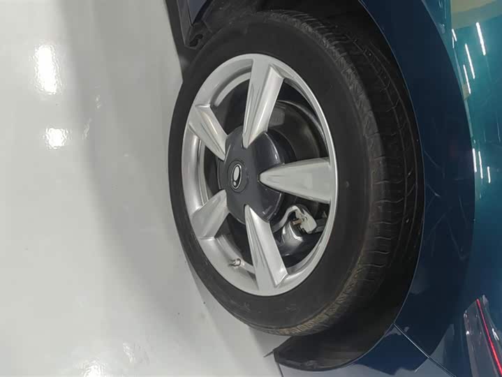 Ora Good Cat (03) 2023 2023款 401km标准续航 豪华型 磷酸铁锂