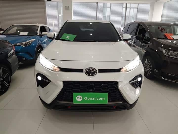 Toyota Wildlander 2024 2024款 2.0L CVT两驱领先版