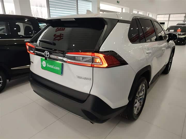 Toyota Wildlander 2024 2024款 2.0L CVT两驱领先版
