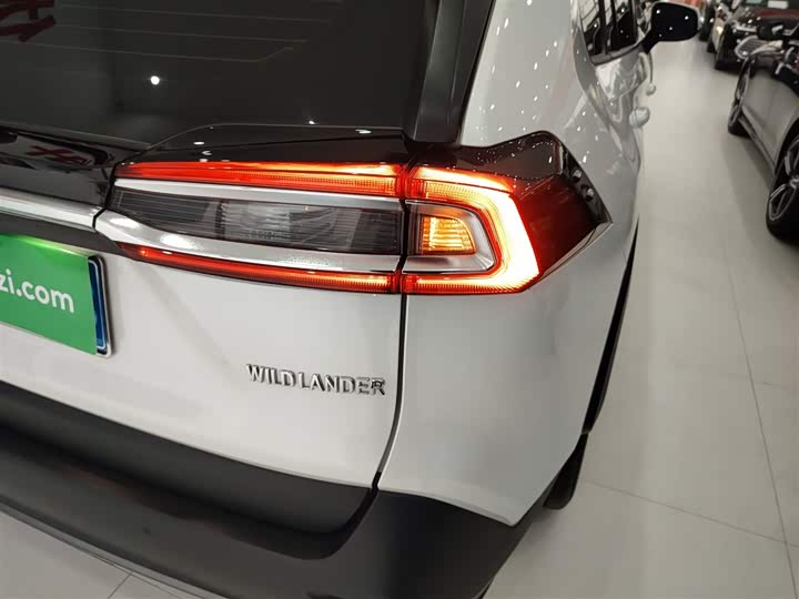 Toyota Wildlander 2024 2024款 2.0L CVT两驱领先版