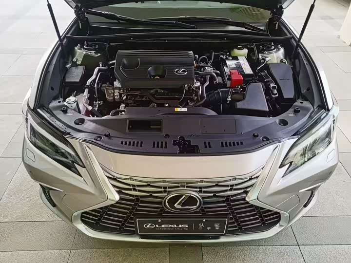 Lexus ES 2025 2025款 200 臻享版