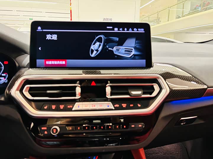 BMW X4 M 2022 2022款 X4 M雷霆版