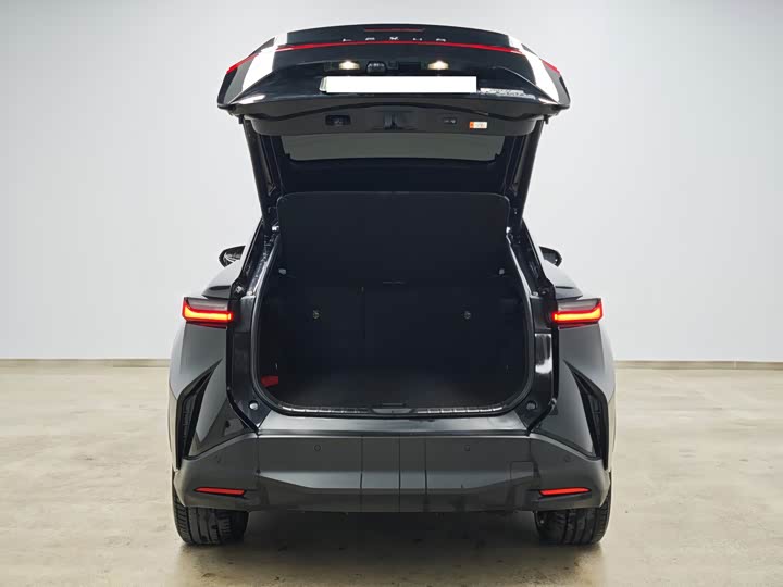 Lexus RZ 2023 2023款 450e 四驱纵享版